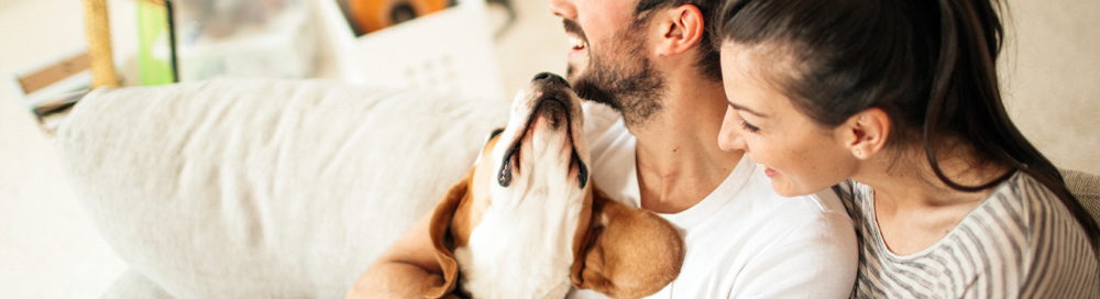 Couple laughing with their dog 