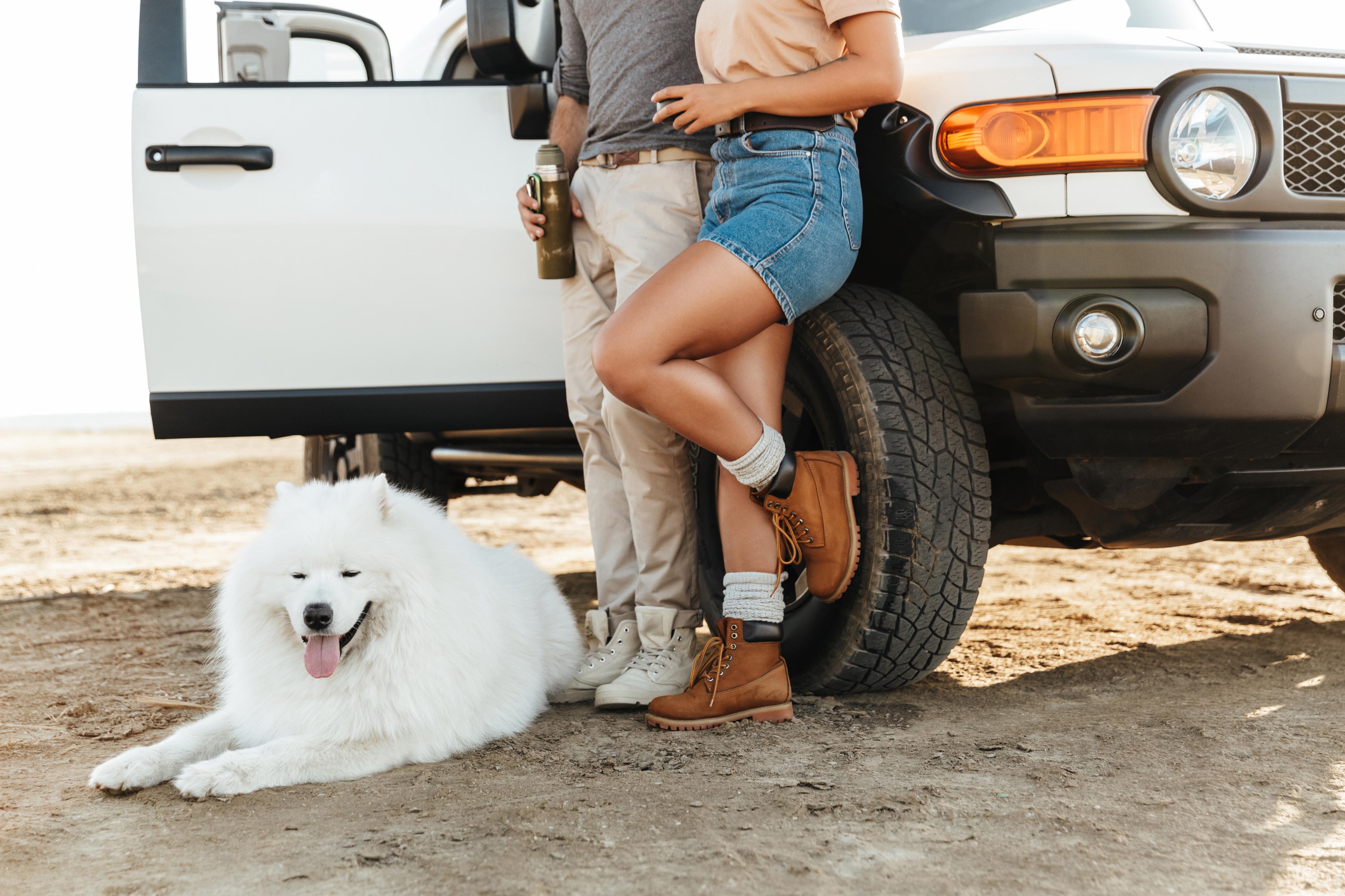 Couple at beach with dog and new car
