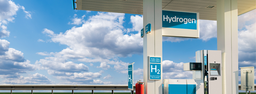 Hydrogen fuel cell vehicles
