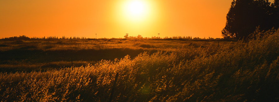 What is the Sunset Clause when buying a property? What is the Sunset Clause when buying a property?