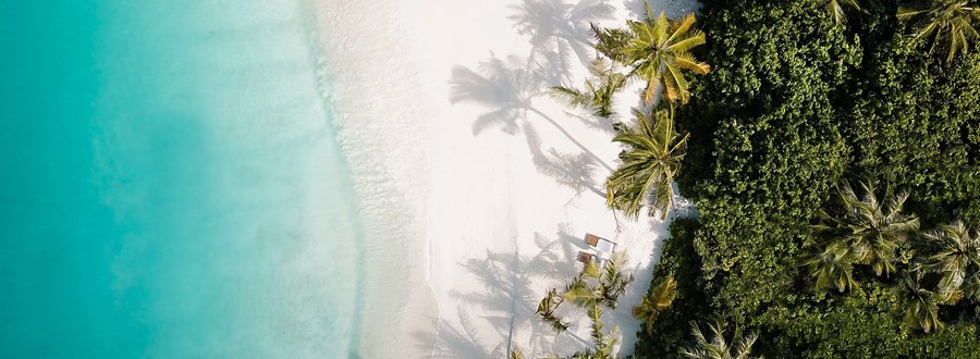 Tropical Holiday Tropical Holiday