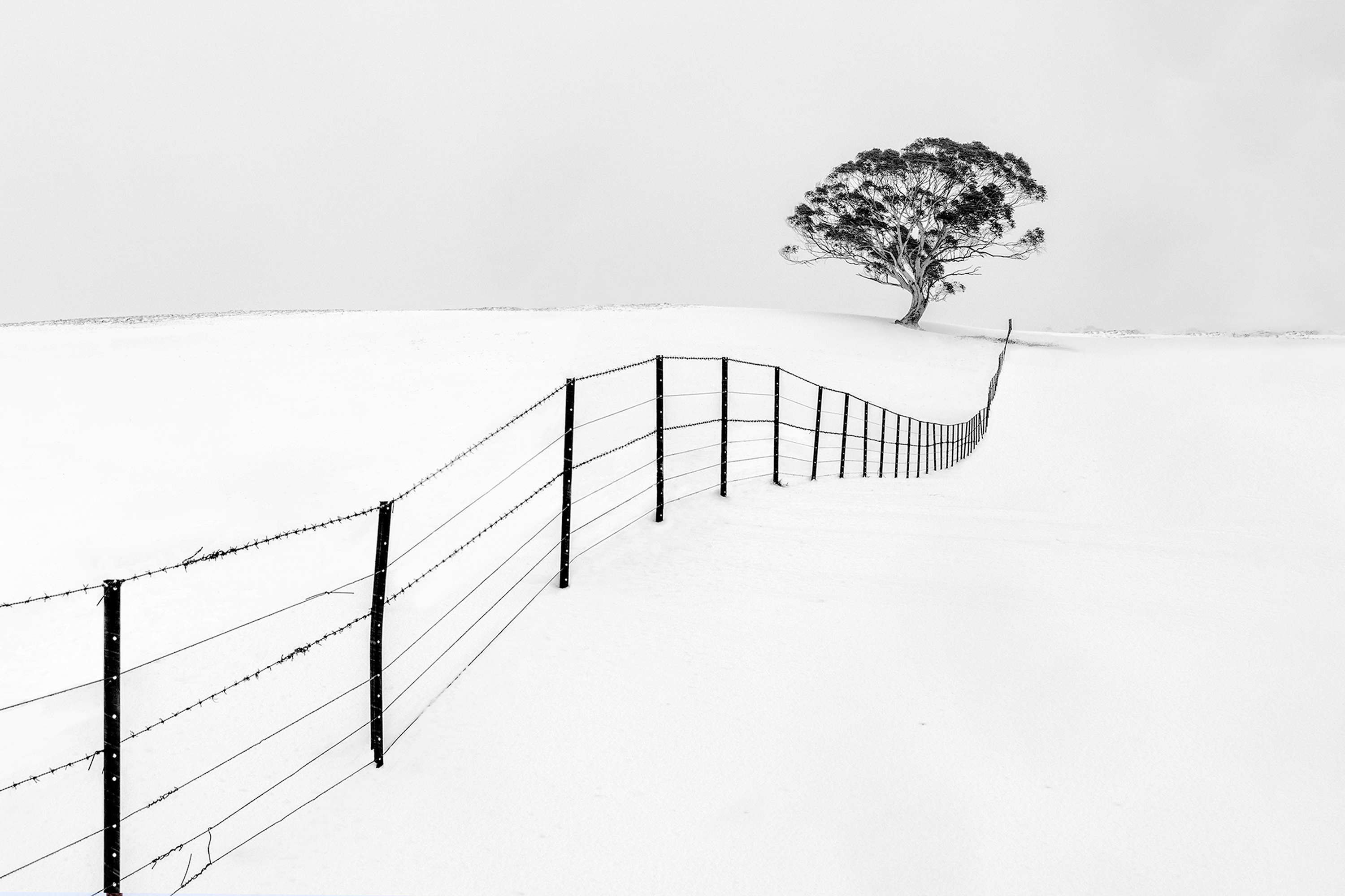 2022 Heritage Bank Photographic Awards Open Winner - Ray Jennings